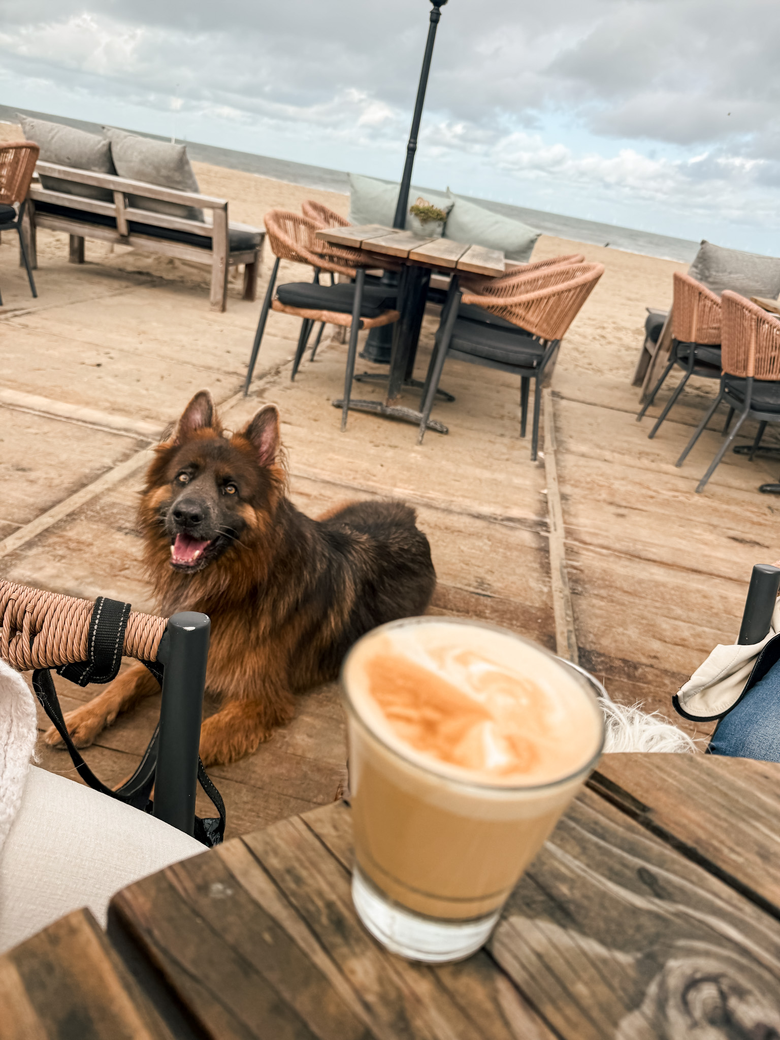 Louie zit op een strandterras naast een kop koffie.